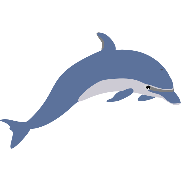 Dolphin picture