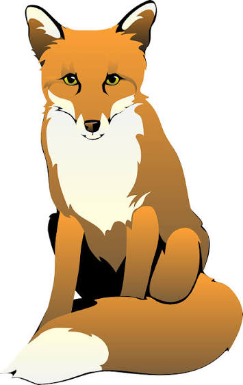 Fox picture